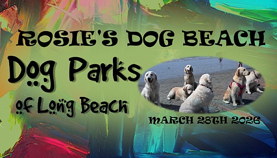 Rosie Dog Beach with Bella's Family and Friends