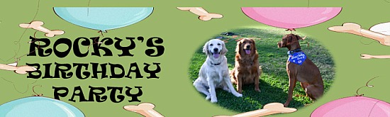 Rocky's Birthday Party